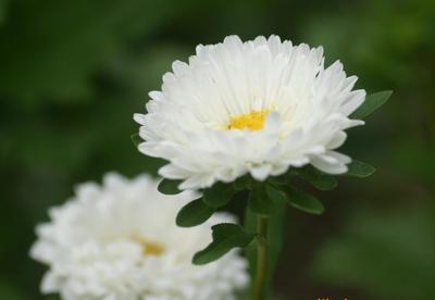 盐田代理公司法人、地址、股权变更与代理工厂变更及云平台服务全面指南